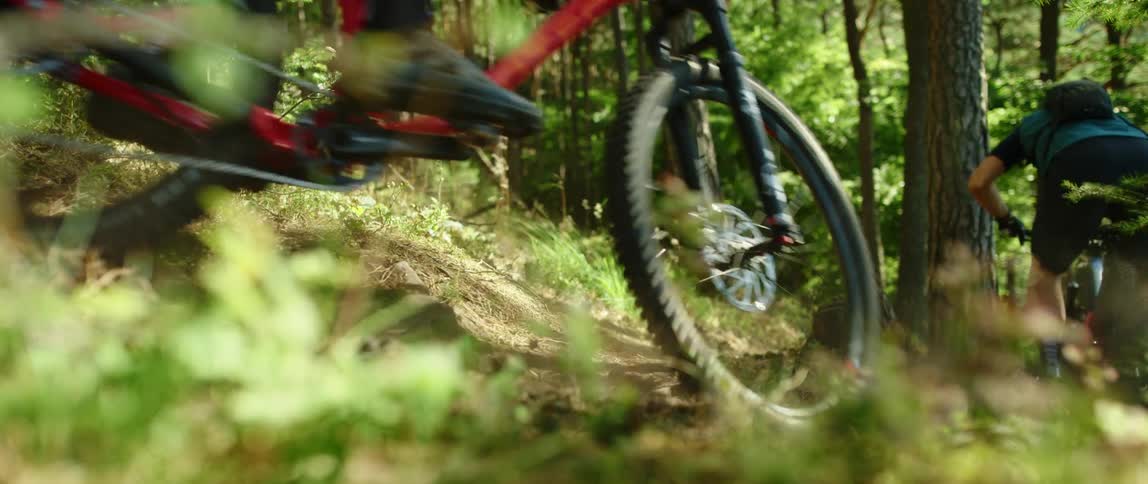 Two men are riding bikes in a forest