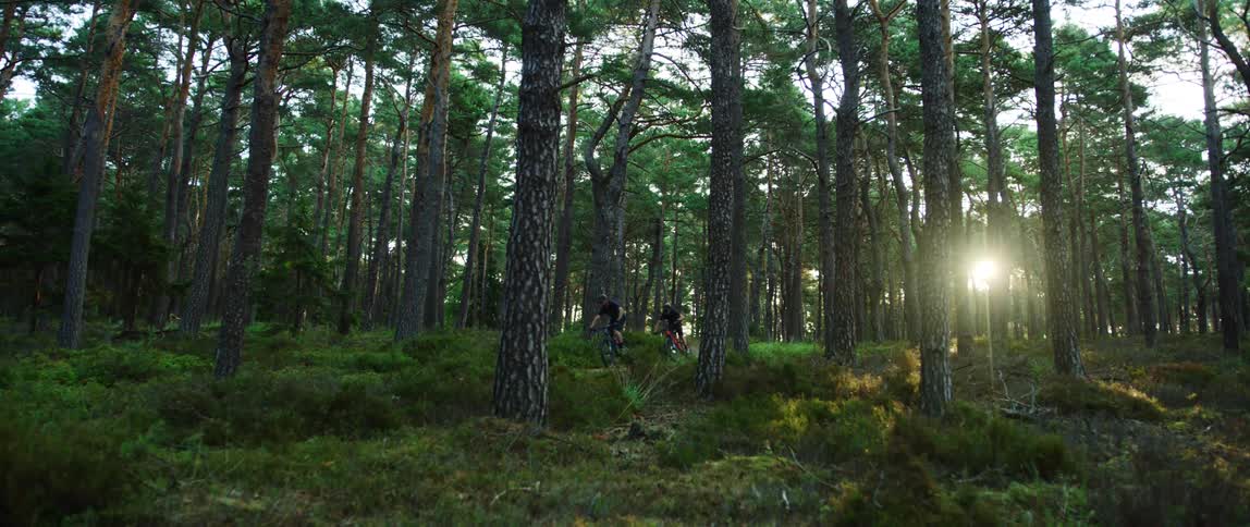 Two people with helmets riding bikes in a forest with the sky in the background