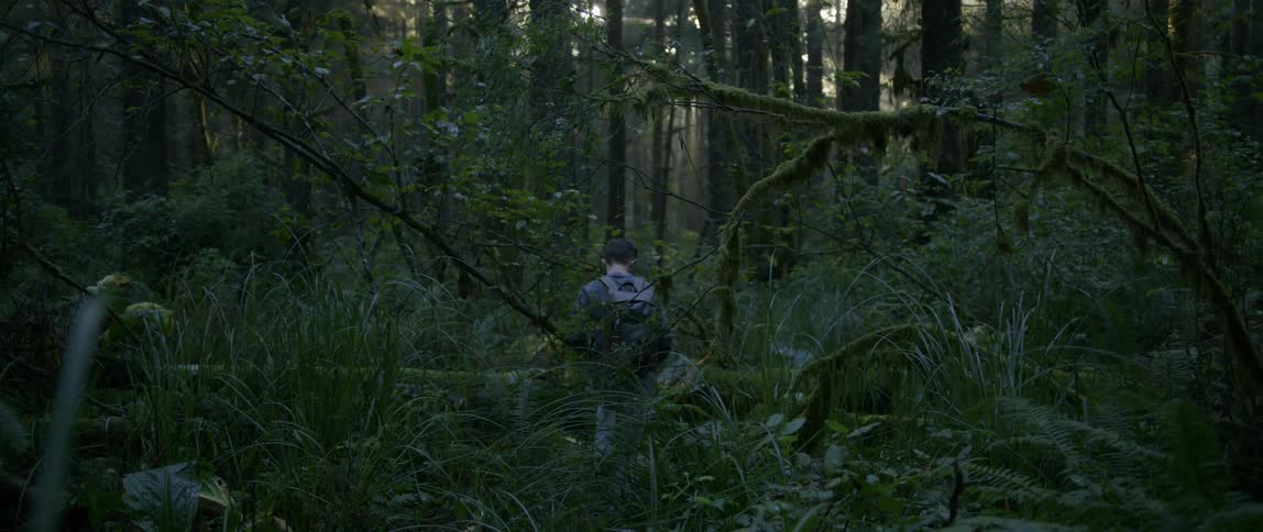 A man is wading through some high vegetation in a forest