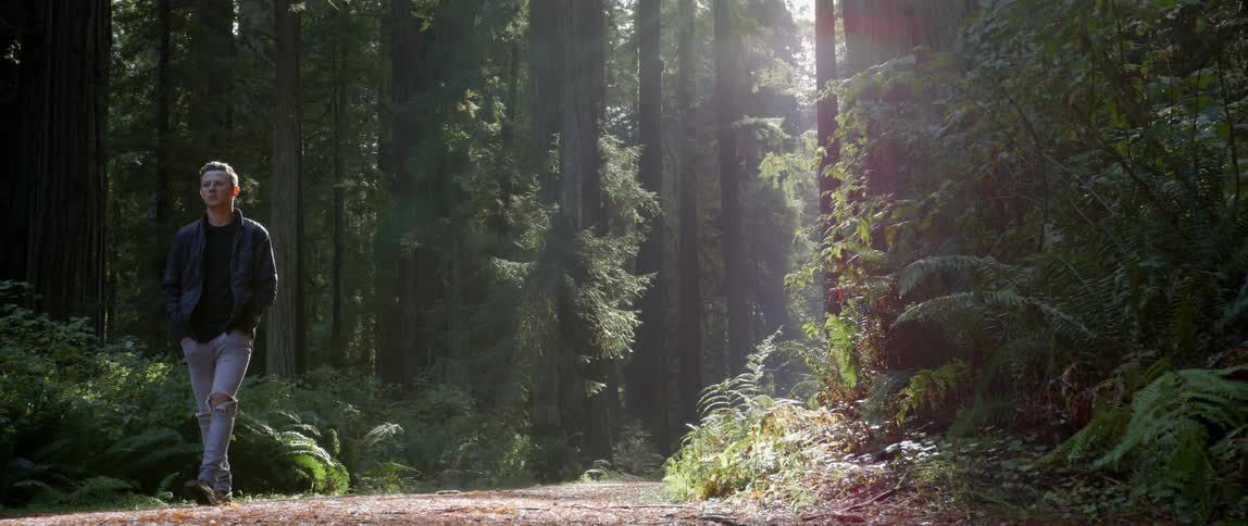 A man walks through a sunny forest