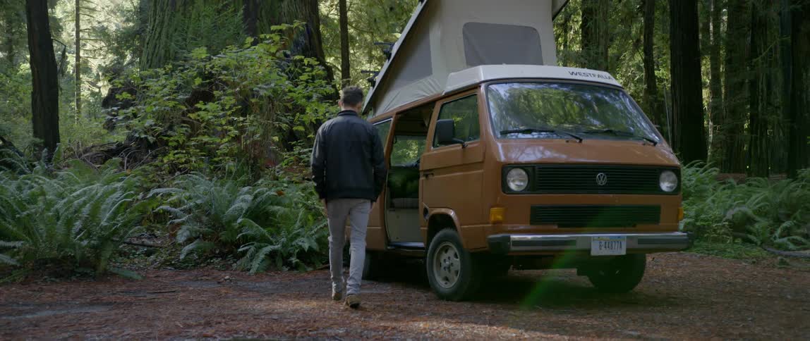 Man Exploring Redwood Forest