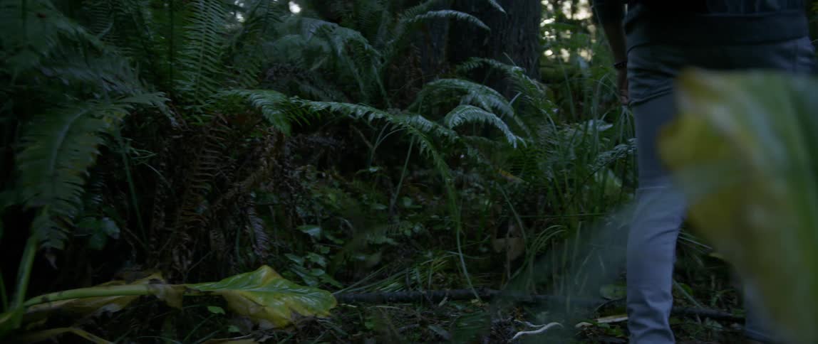 Man walking through a forest