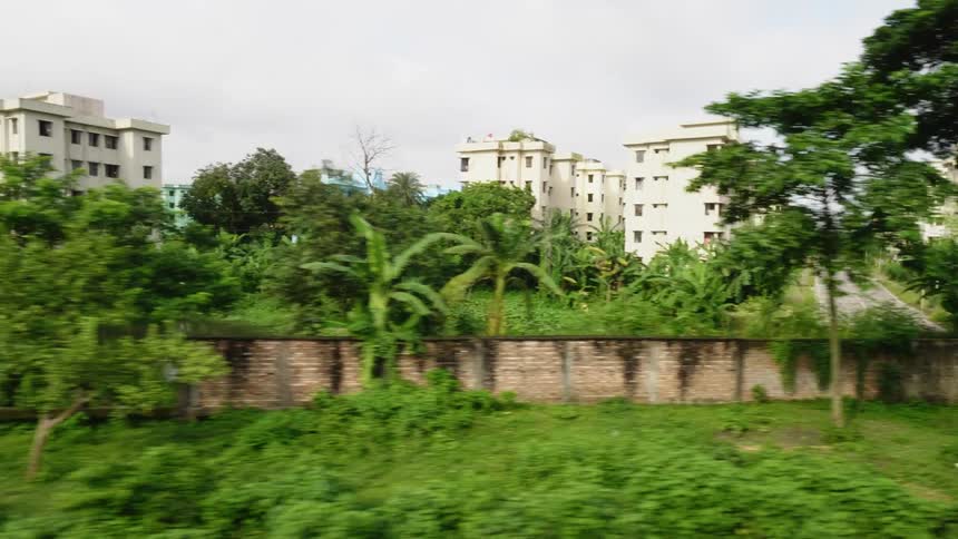 Tall buildings loom over a marsh on the outskirts of a city