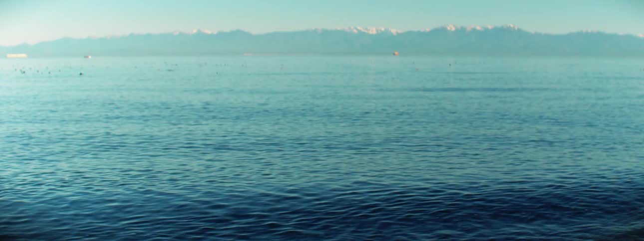 The sun is reflection on the ocean
