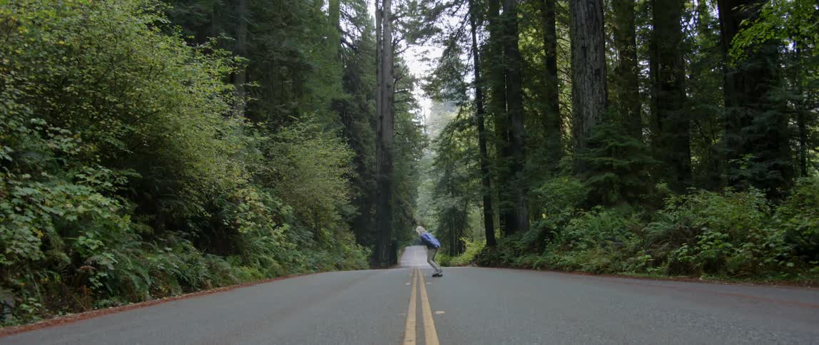 A man skates down a tree lined country road