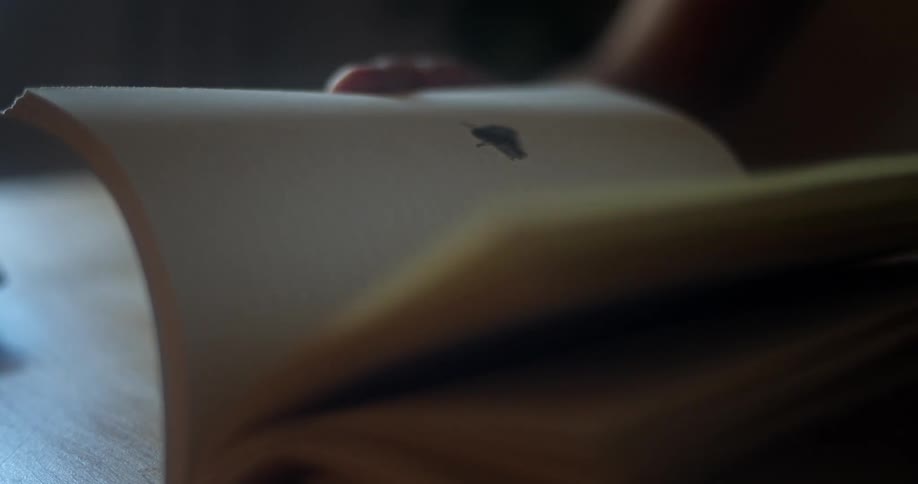 A person sitting at a table flips through the pages of a book