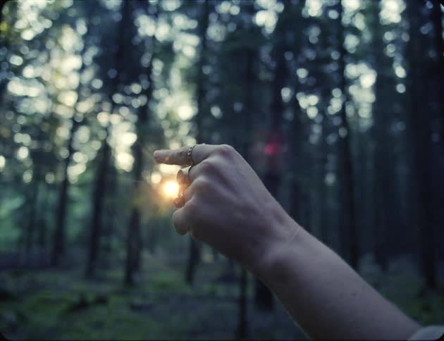 A persons hand with rings with trees and the sky in the background
