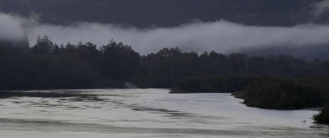 Fog rolls over trees near a lake