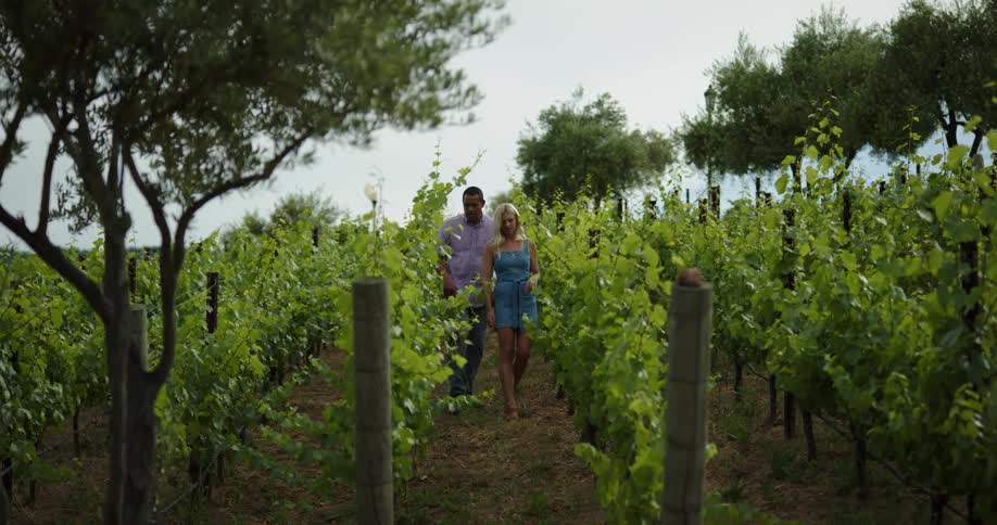 A woman leads a man through a vineyard as they talk