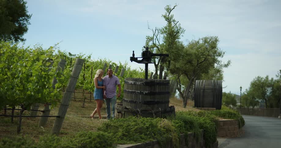 Couple holding hands walking through vineyard