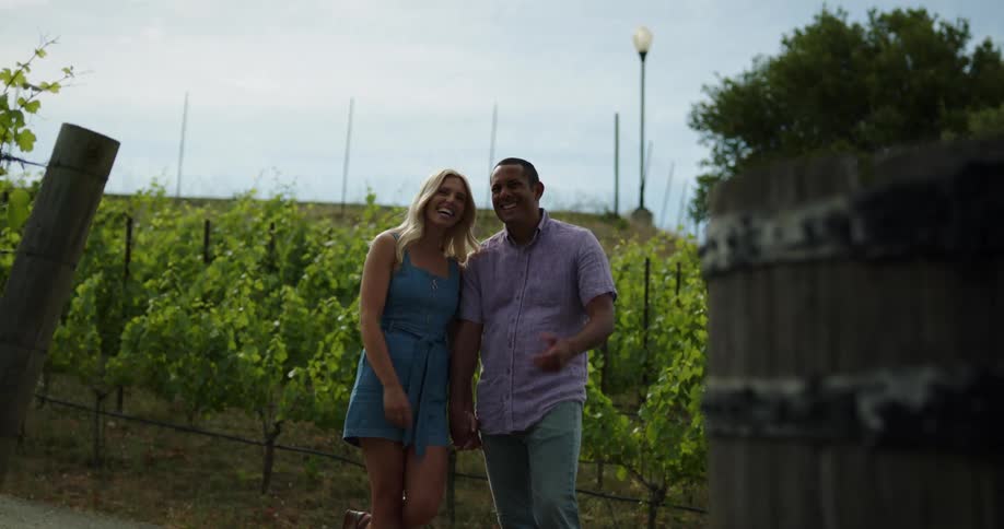 A man and woman hold hands and chat with one another while looking around a vineyard on a sunny day