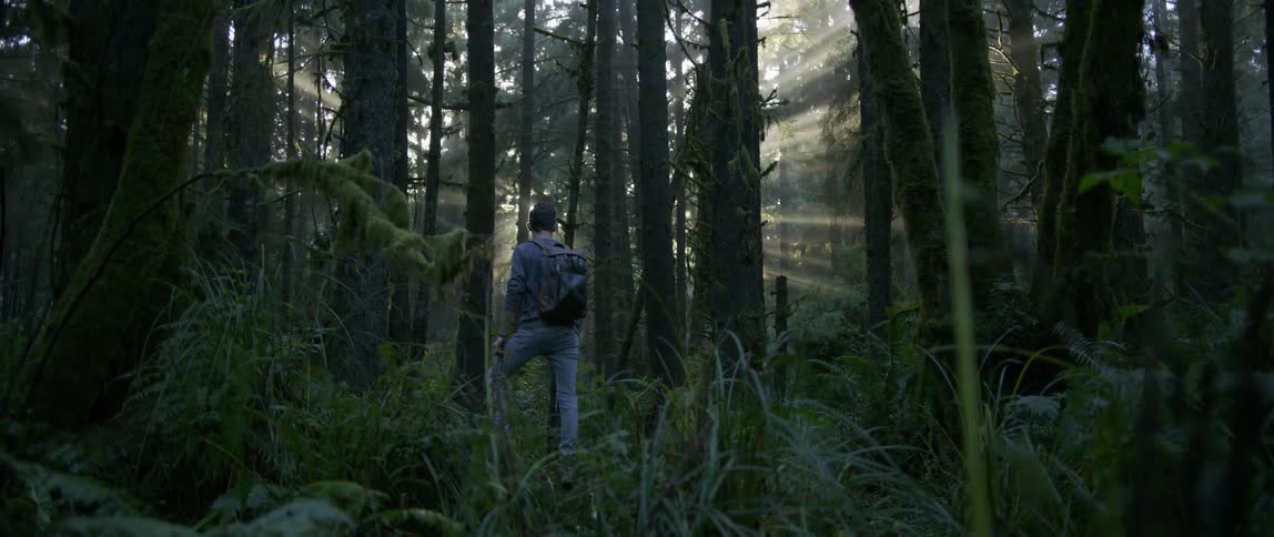 A man wearing a backpack hikes in the forest
