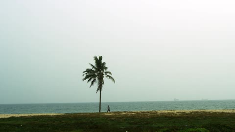 A person is walking on the beach in the distance