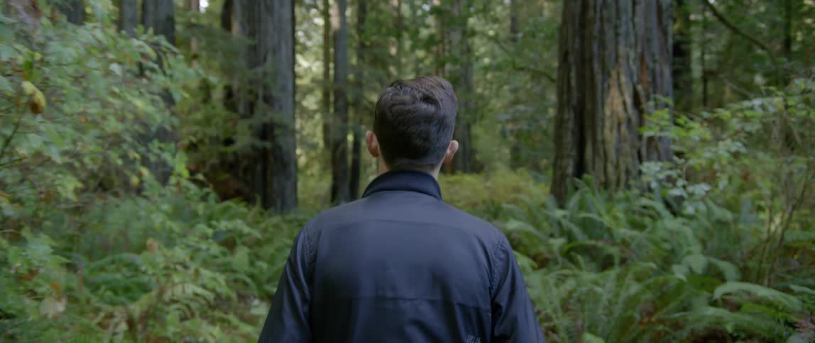 Man walks through the dense forest