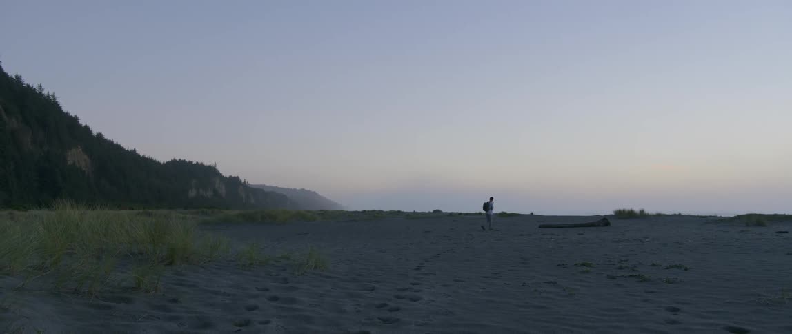 A person walks across the beach