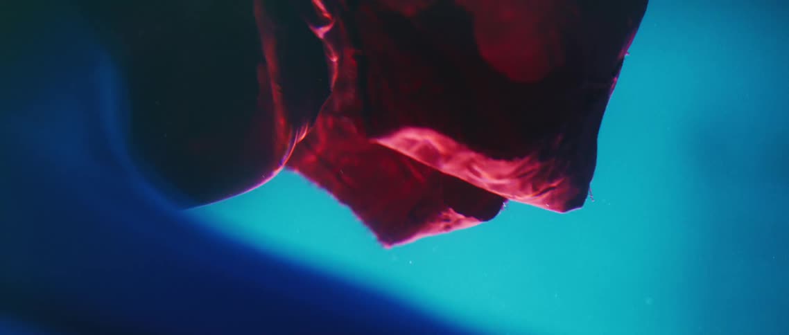 Fabric is floating around underwater