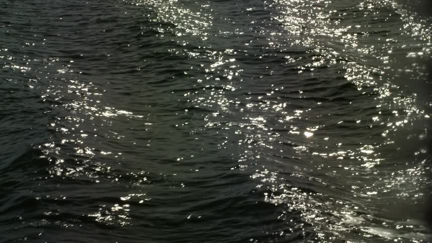 Waves rippling on an ocean in the daytime