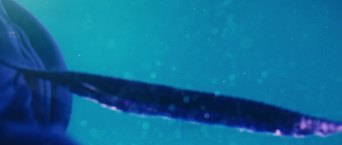 The tie of a dark blue robe separates as the robe floats and moves underwater in a pool