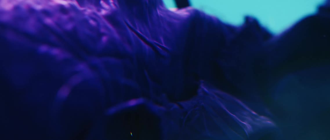 Purple fabric floating underwater