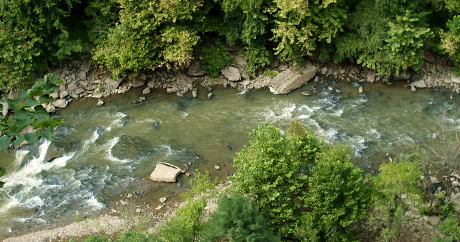 A river surrounded by trees and vegetation
