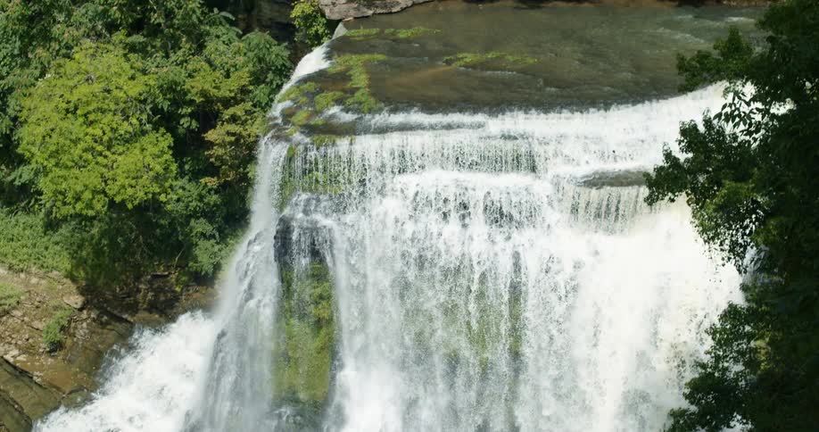 A river leading to a large waterfall in a forest on a sunny day
