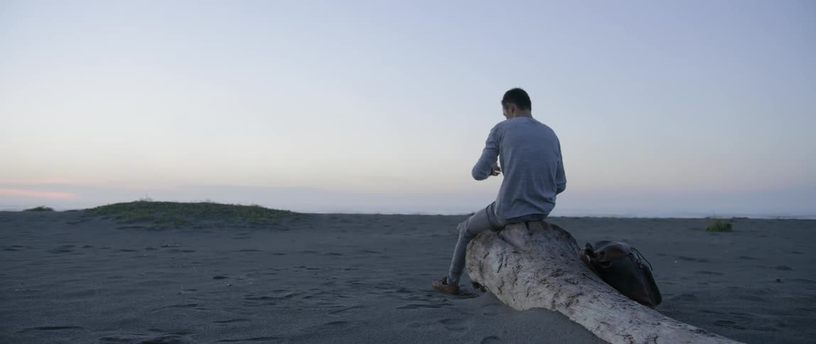 Man sitting on a fallen tree on a sandy beach