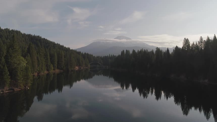 Trees are surrounding the lake