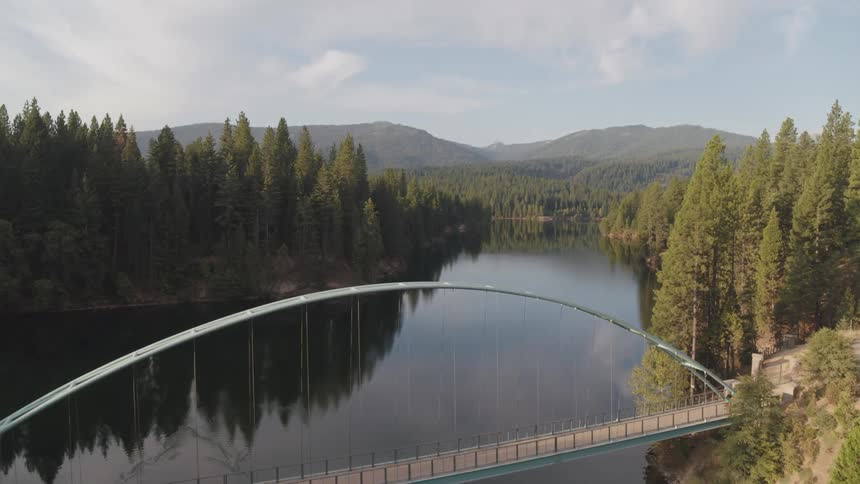 A river runs under a bridge spanning two halves of a vast forest on a sunny day