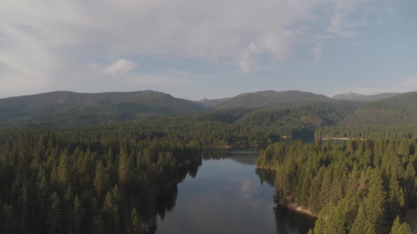 An aerial view of a river in a forest area