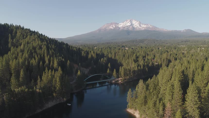 A calm river running through a vast evergreen forest under a clear daytime sky