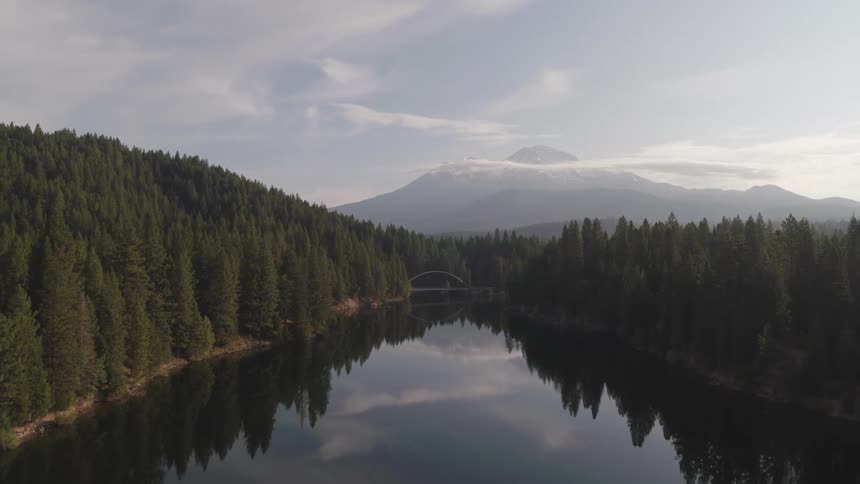 Trees are reflection on the lake