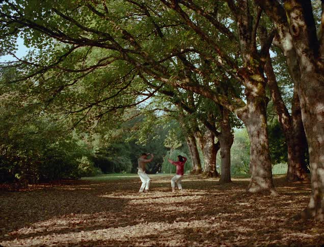 Two people exercise in the forest