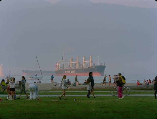 A park with people playing and riding bikes with a body of water with ships in the background