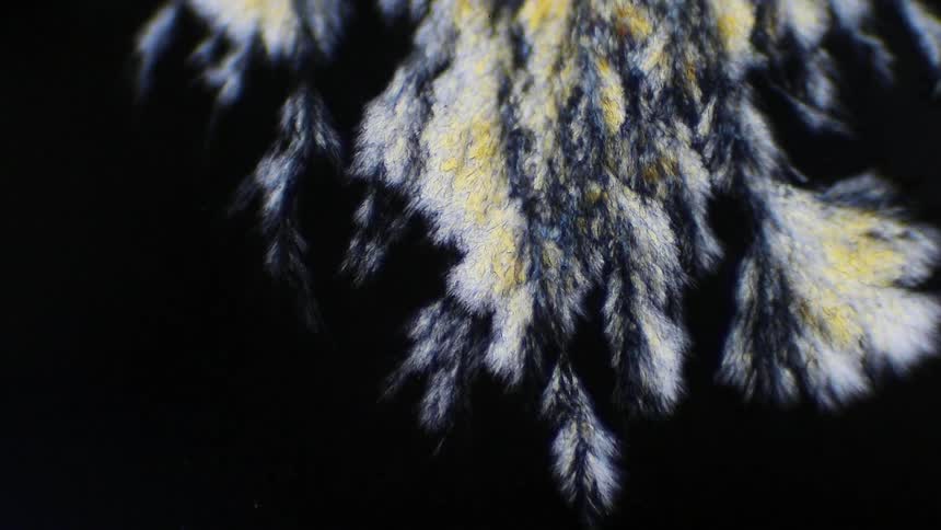 Formation of white and yellow crystals on a black surface