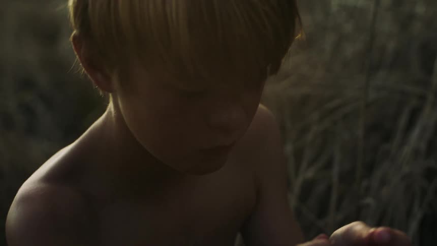 A young boy sitting in a grassy field picks a plant apart