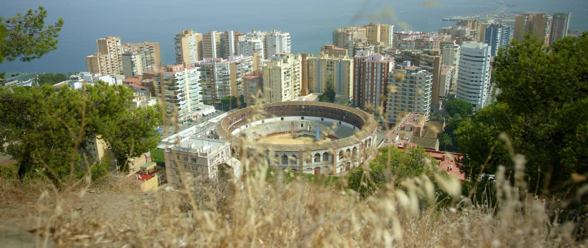 A view of an urban city is displayed in spring