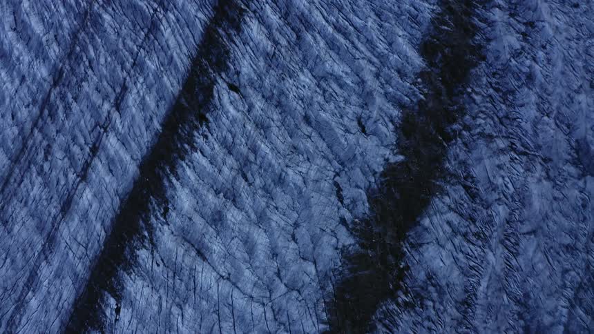 Tire tracks leave a trail in a snow covered field