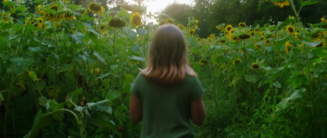 Young blonde girl walking on a sunflower field at sunset turns around to look at the camera