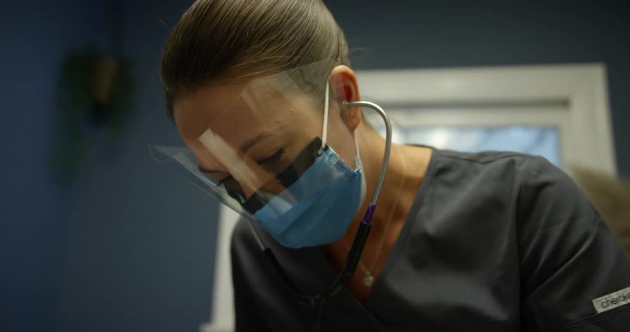 A veterinarian in personal protective gear examines a cat with a stethoscope