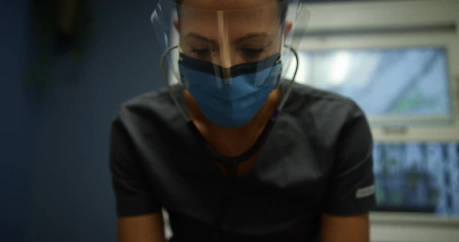 A woman wearing scrubs and a face shield uses a stethoscope to examine a cat on the exam room table