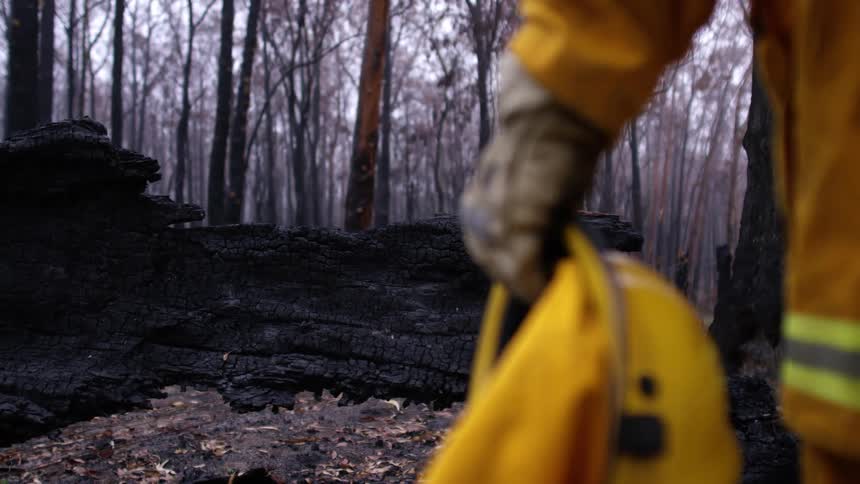 A firefighter stands in a forest with trees that are burnt