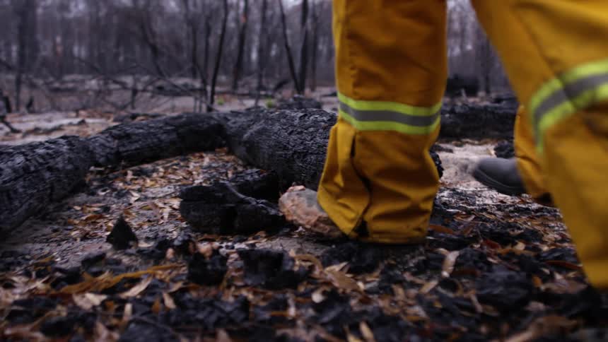 Fireman walking over burnt wood after a forest fire