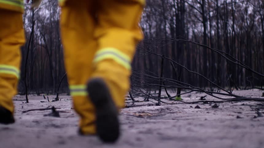 Two fire fighters walk through a forest