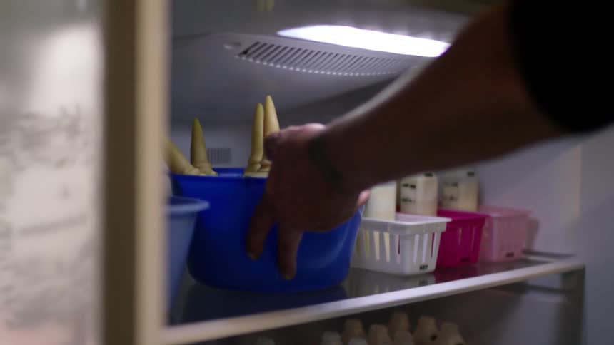 Opening a large fridge and removing a blue bowl filled with bottles