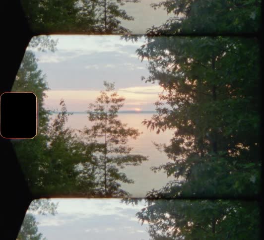 Sun rises over the sea seen from a cliff with trees