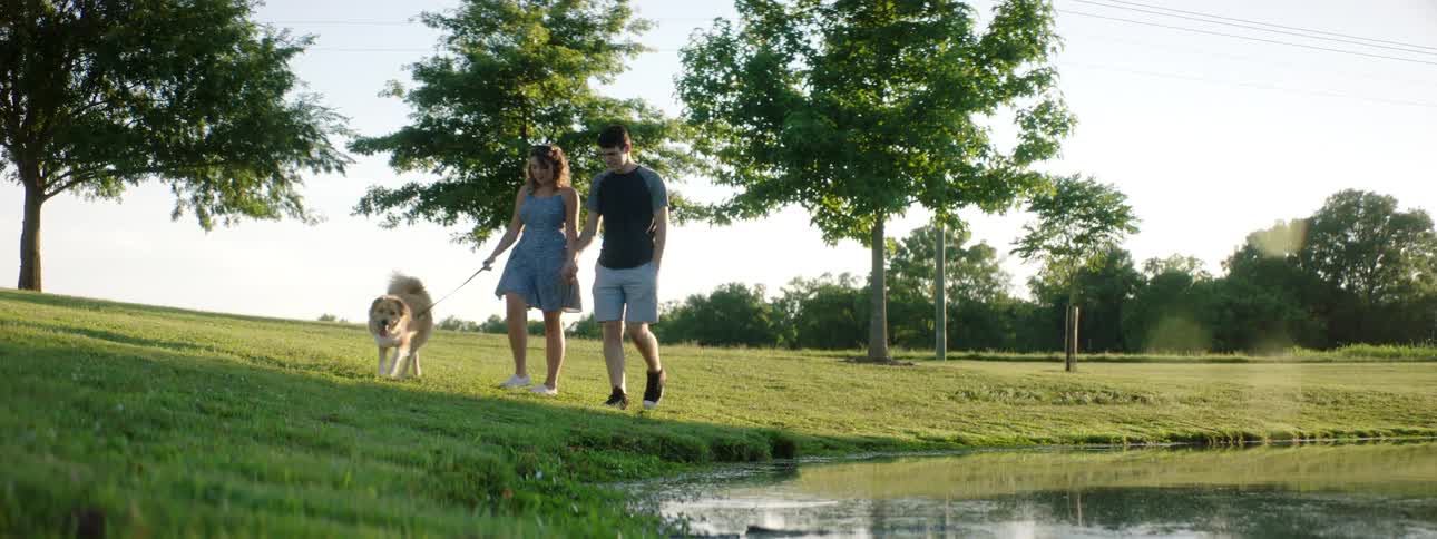 Man with shorts a t shirt and woman wearing a blue dress walk a dog along the riverside