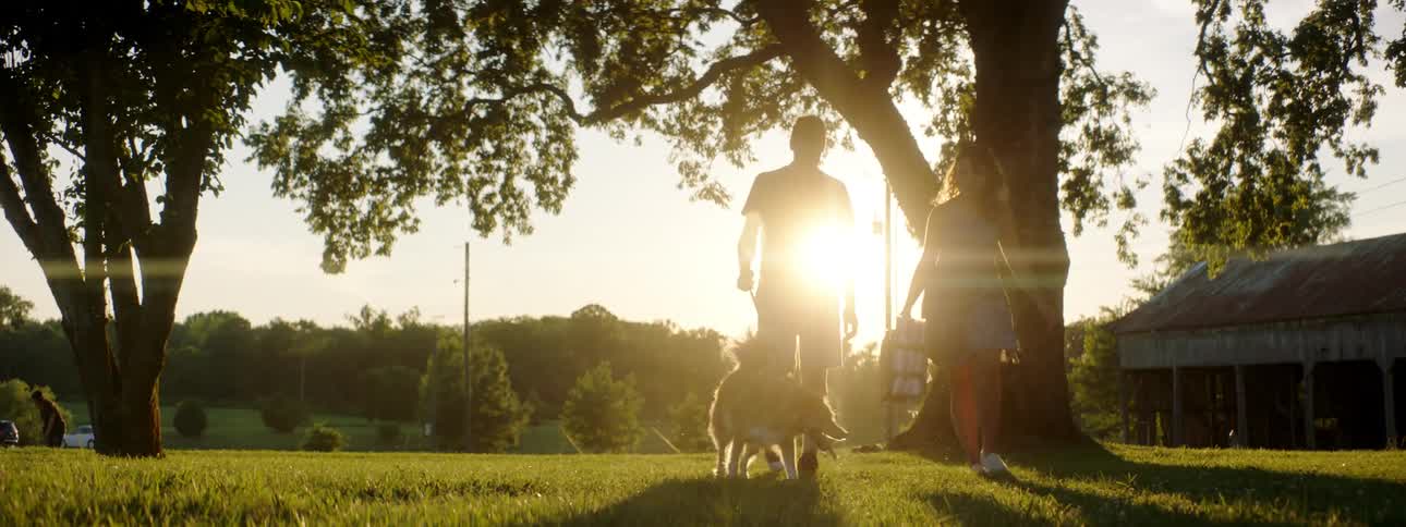 A man a woman and a dog on a leash walking on grass with trees in the background