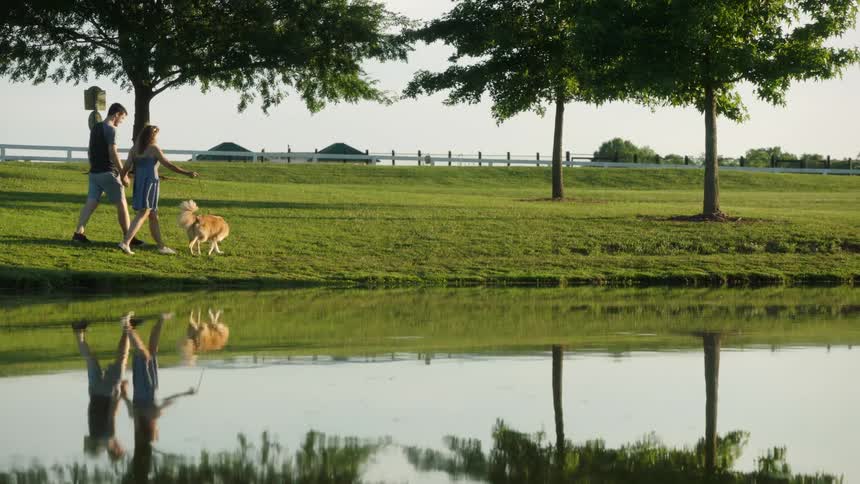 A couple holds hands as they walk their dog in the park with trees and sky reflected on the pond surface