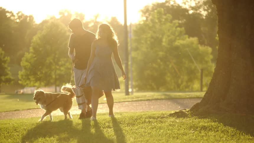 A couple walk their dog in the park