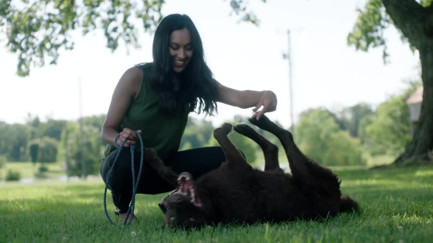 Woman with a green blouse and black pants pets a black dog on green grass under a tree